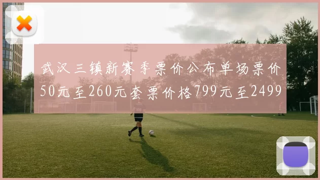 武汉三镇新赛季票价公布单场票价50元至260元套票价格799元至2499元